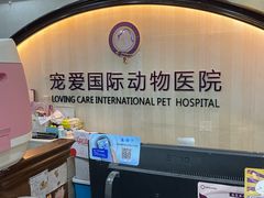 -宠爱国际动物医院·消化内科·心肾内科·ISFM猫友好(望京店)