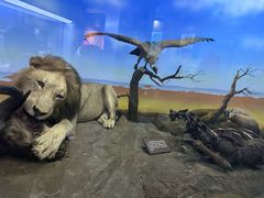 -国家自然博物馆