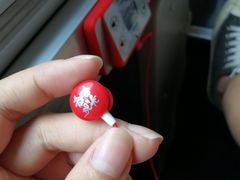 -广州都市观光巴士(粤陶巴)
