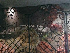 -欢乐迪KTV(南坪上海城店)