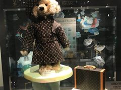 -济州岛泰迪熊博物馆