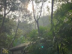 -融汇温泉