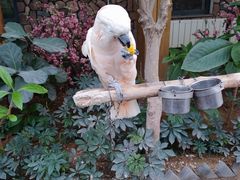 -南宫五洲植物乐园