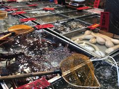 -湛江渔港·大排档(乐园路总店)