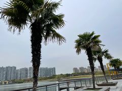 -白塘生态植物园