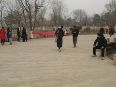-绿堤公园