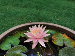-花开海上生态园