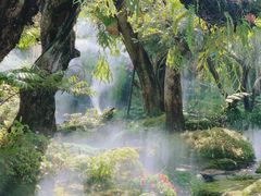 -Chom Cafe and Restaurant