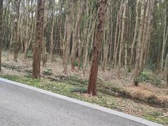 -同里国家湿地公园