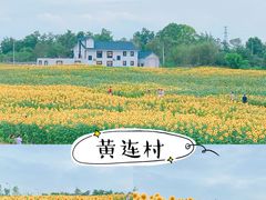 -三圣花乡旅游区