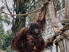 -云南野生动物园