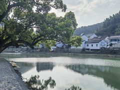-鹿亭中村