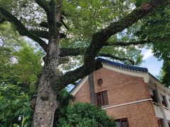-广州中山纪念堂