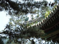 -潭柘寺景区