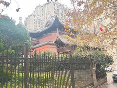-上海白云观