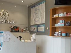 -关爱宠物医院·猫科中心·消化科(滨湖万达分院)