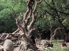 -广州长隆野生动物世界