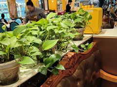 -东方豪客牛排意面披萨(金凤万达店)