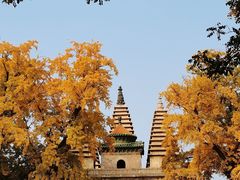 -北京石刻艺术博物馆(五塔寺)