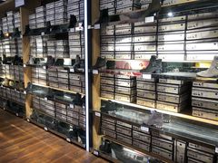 -C·BANNER千百度(奥特莱斯工厂店)