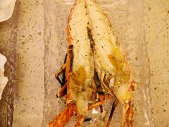 -白仁仔· 活烤海鲜 宵夜(豫园店)