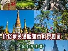 -瑞丽独树成林风景区