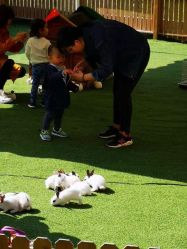 -萌宠亲子动物乐园(槐房万达店)