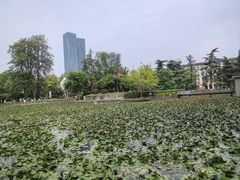 -四川大学(望江校区)