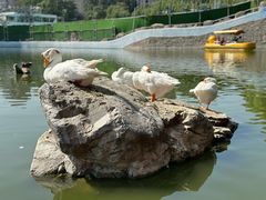 -团结湖公园
