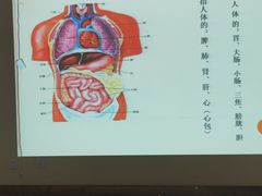 -新苗幼儿园(惠民街店)