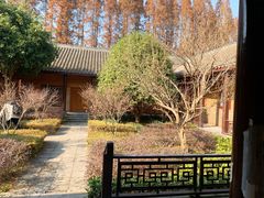 -金岛生态园烧烤露营地