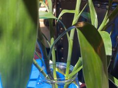 -时间仓(月湖公园店)