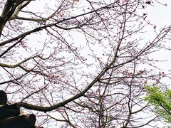 -喜洲吧·江畔老船厂·庭院餐厅(喜临院店)