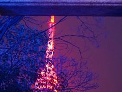 -龟山风景区-龟山电视塔