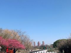 -白塘生态植物园