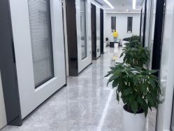 -悟空祛痘·诺奖技术专业店