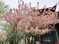 -堤角公园