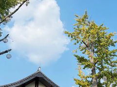 -麗枫酒店(成都理工大学地铁站店)