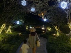 -绿城千岛湖喜来登度假酒店