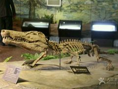 -自贡恐龙博物馆
