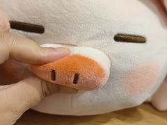 -九木杂物社(恒隆广场店)