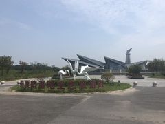 -盐城丹顶鹤湿地生态旅游区
