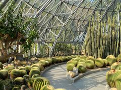 -深圳仙湖植物园