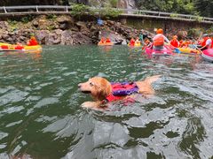 -安吉龙王山峡谷漂流