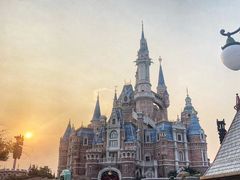 -锦江乐园舞狸花花游园会(夜场专享)