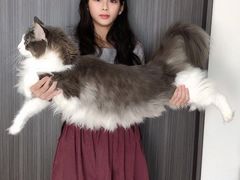 -美迦爱-牙专科·兔科·骨科诊疗中心(北苑店)