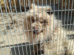 -峄山风景名胜区