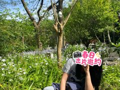 -杭州西湖风景名胜区-三生石