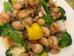 酱爆鱿鱼西蓝花-黄埔华苑酒家(黄埔店)