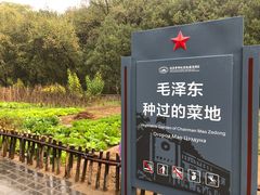 -延安杨家岭革命旧址